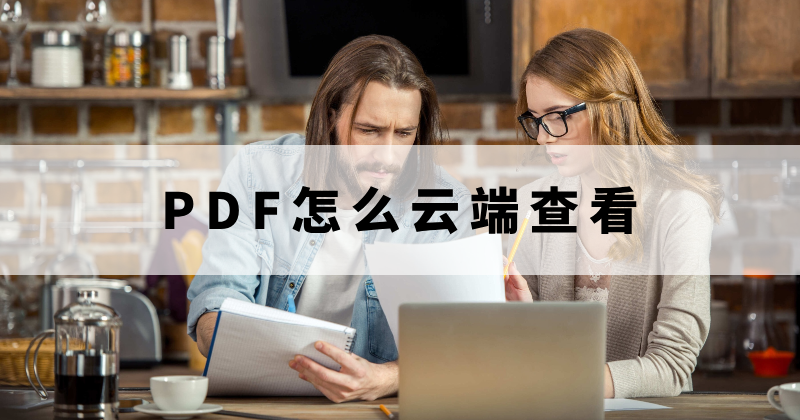 怎么在不同设备打开PDF？