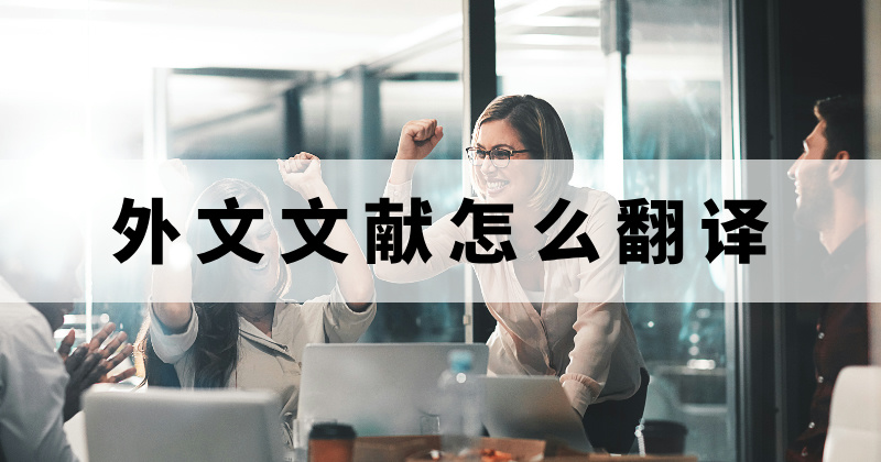 文献翻译工具