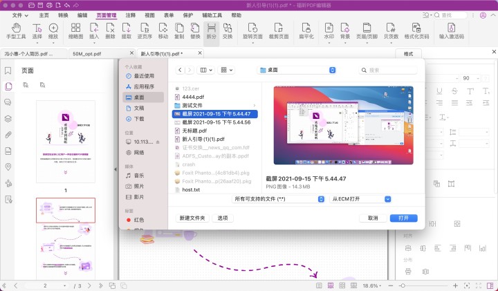 加密pdf如何插入頁面？插入頁面需要哪些步驟？
